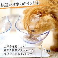 【ペット用品】犬猫用・猫耳型フードボウルスタンド